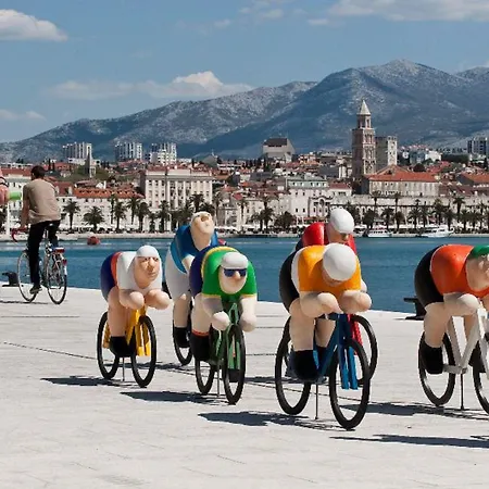 Aspalathos Σπλιτ